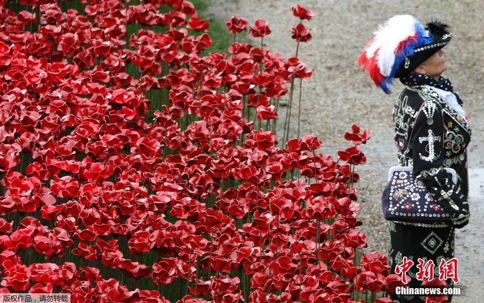 當(dāng)?shù)貢r(shí)間2014年11月10日，英國(guó)倫敦，倫敦塔周邊“種植”了888246朵陶瓷材質(zhì)的罌粟花，以此紀(jì)