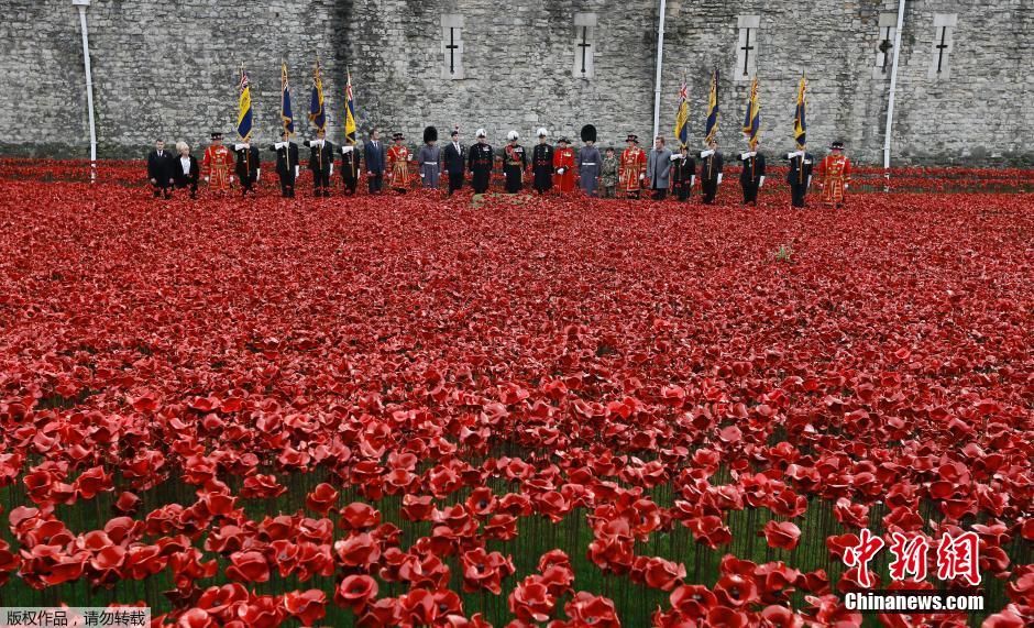 當(dāng)?shù)貢r(shí)間2014年11月10日，英國(guó)倫敦，倫敦塔周邊“種植”了888246朵陶瓷材質(zhì)的罌粟花，以此紀(jì)