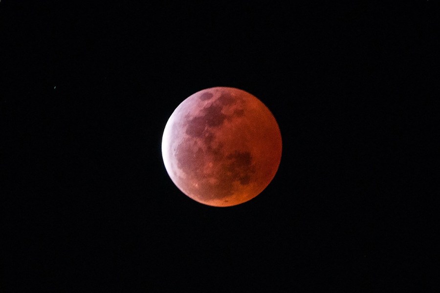 4月4日，福州上空出現(xiàn)紅月亮。楊婀娜/CFP