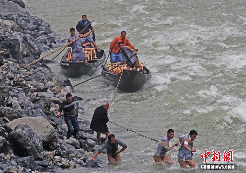 纖夫在神農(nóng)溪畔牽引木船溯溪而上。