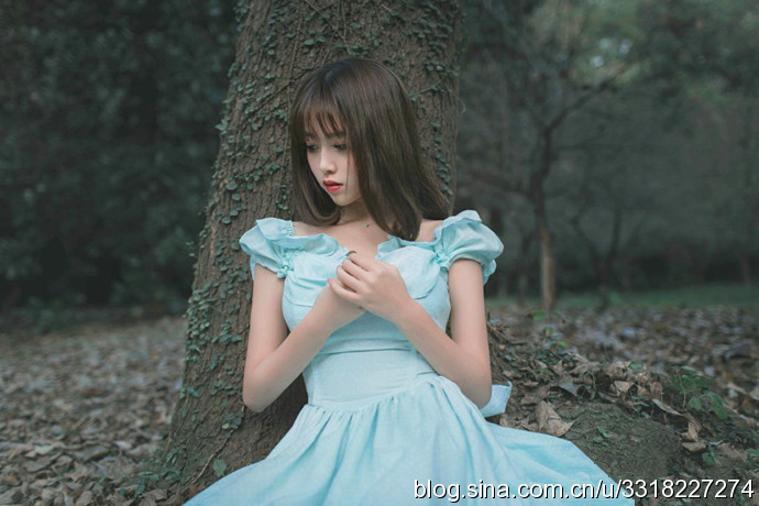 民航大學(xué)最美?；ㄋ秸掌毓? width=