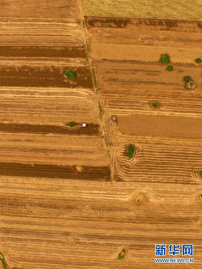 這是5月28日在河南省南陽市唐河縣甘河灣村航拍的麥?zhǔn)宅F(xiàn)場。