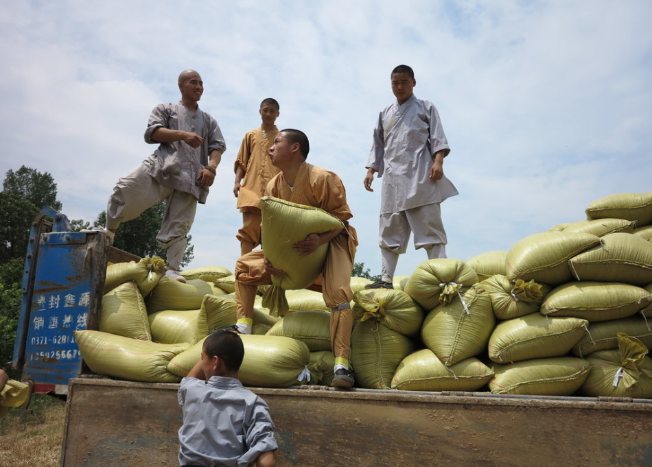 武僧將打包后的糧食集中至運(yùn)輸車輛上。