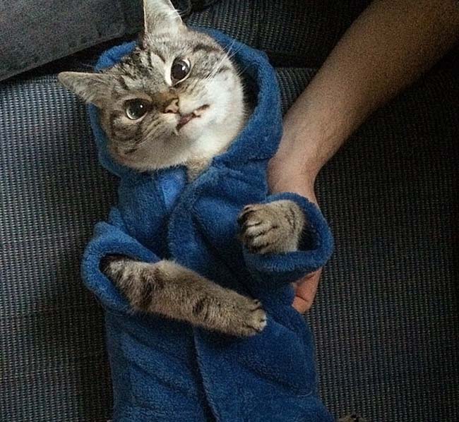 身穿浴袍的Loki好像看起來也沒那么兇哦。