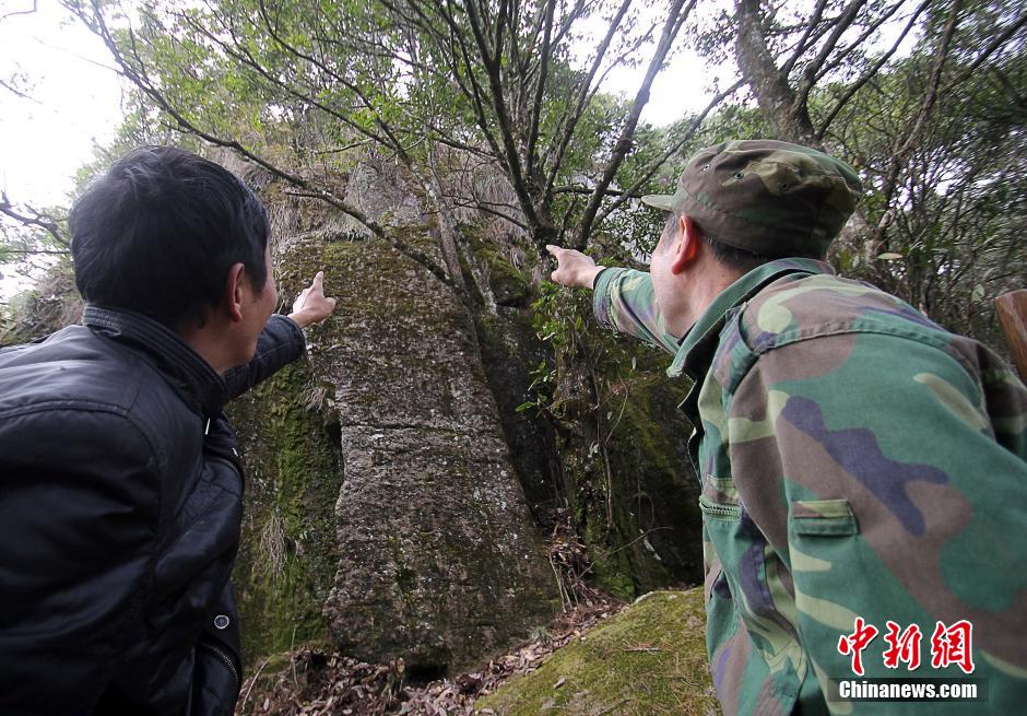 江西崖壁現(xiàn)特殊文字 疑似6000年前祭祀符號(hào) 江西崖壁現(xiàn)特殊文字 疑似6000年前祭祀符號(hào)