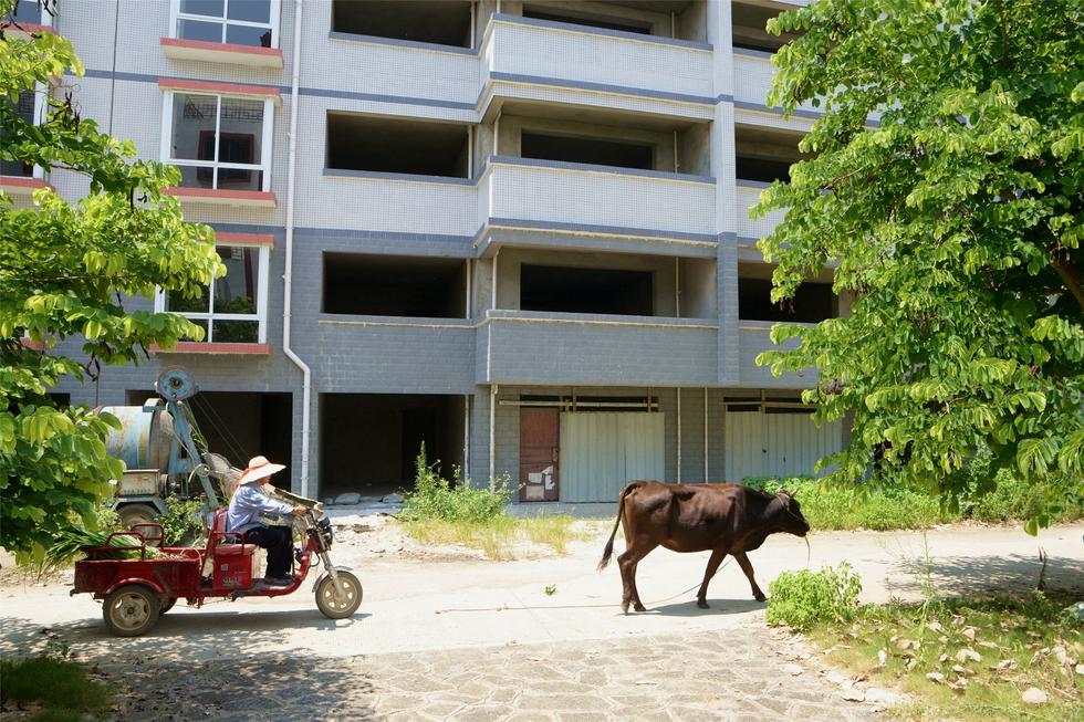 2016年7月26日，村民在廣西來賓市忻城縣隆達(dá)山水福城荒廢別墅間放牛。