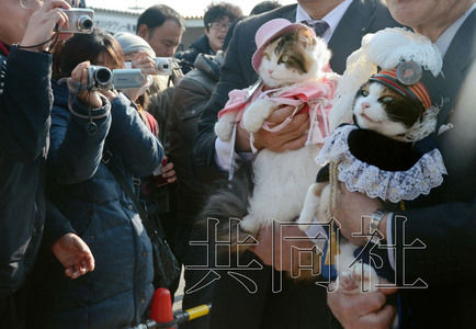 圖為粉絲們簇擁著“阿玉”站長（右）。左側為其部下“二玉”。