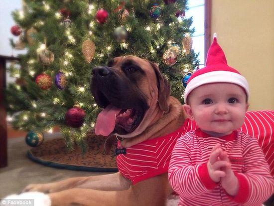 圖為美國2歲大的寵物犬與主人9個月大的女嬰。圖片來源：臉譜網(wǎng)站（Facebook）。