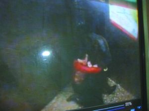 男子將侯某撲倒，侯某反抗。