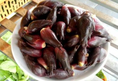 四川多個(gè)景區(qū)農(nóng)家樂(lè)賣不明野菜 野芹毒芹分不清 四川多個(gè)景區(qū)農(nóng)家樂(lè)賣不明野菜 野芹毒芹分不清