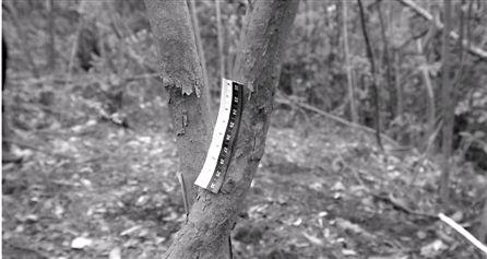 破產(chǎn)老板為騙180萬保險花3萬雇兇殺死自己 破產(chǎn)老板為騙180萬保險花3萬雇兇殺死自己