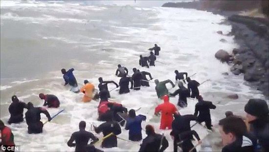 一場(chǎng)暴雨后，俄羅斯加里寧格勒Pionersky鎮(zhèn)，數(shù)十人潛入海水中搜尋琥珀。