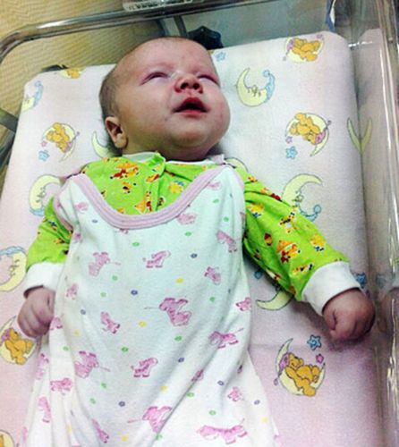 居民認(rèn)為，如果沒(méi)有這只貓的照料，寶寶可能沒(méi)有機(jī)會(huì)活下來(lái)。