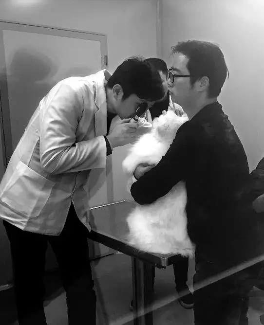 女子為給愛犬治病 從新疆開了4天車還花費5萬5 女子為給愛犬治病 從新疆開了4天車還花費5萬5