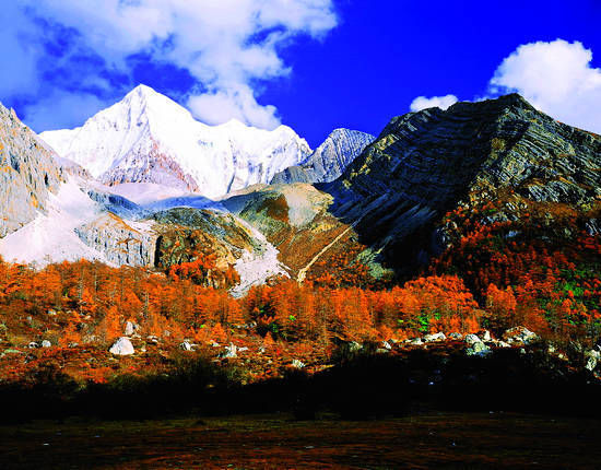 秋天的色彩之旅 尋找視覺上的饕餮盛宴 秋天的色彩之旅 尋找視覺上的饕餮盛宴