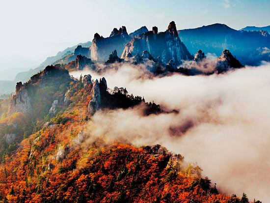 秋天的色彩之旅 尋找視覺上的饕餮盛宴 秋天的色彩之旅 尋找視覺上的饕餮盛宴