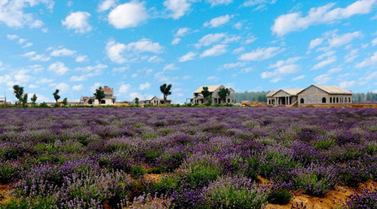 嵖岈山傾情打造中秋節(jié)休閑度假全體驗(yàn) 嵖岈山傾情打造中秋節(jié)休閑度假全體驗(yàn)