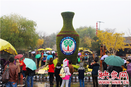 天好、花美 中國開封第32屆菊花文化節(jié)延長一周