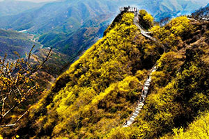 景區(qū)春光 景區(qū)春光