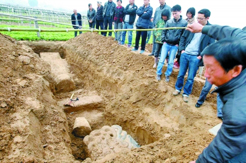 碑帽、赑屃、碑座、碑身依次排開