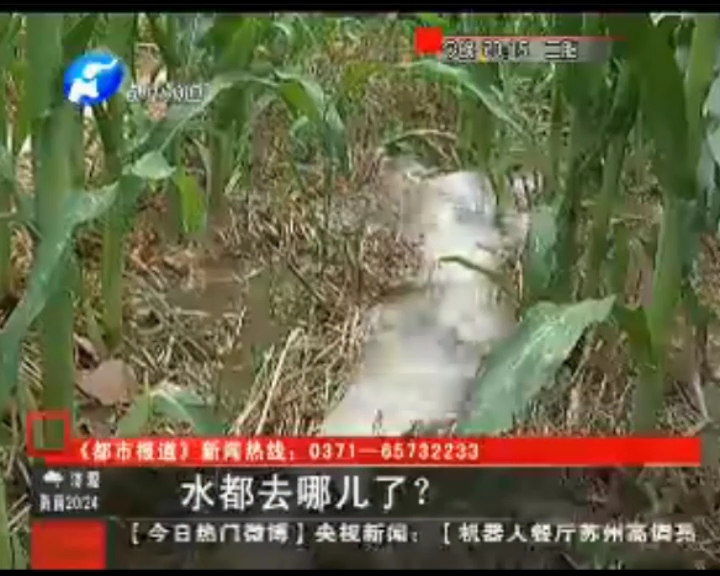 水都去哪了？