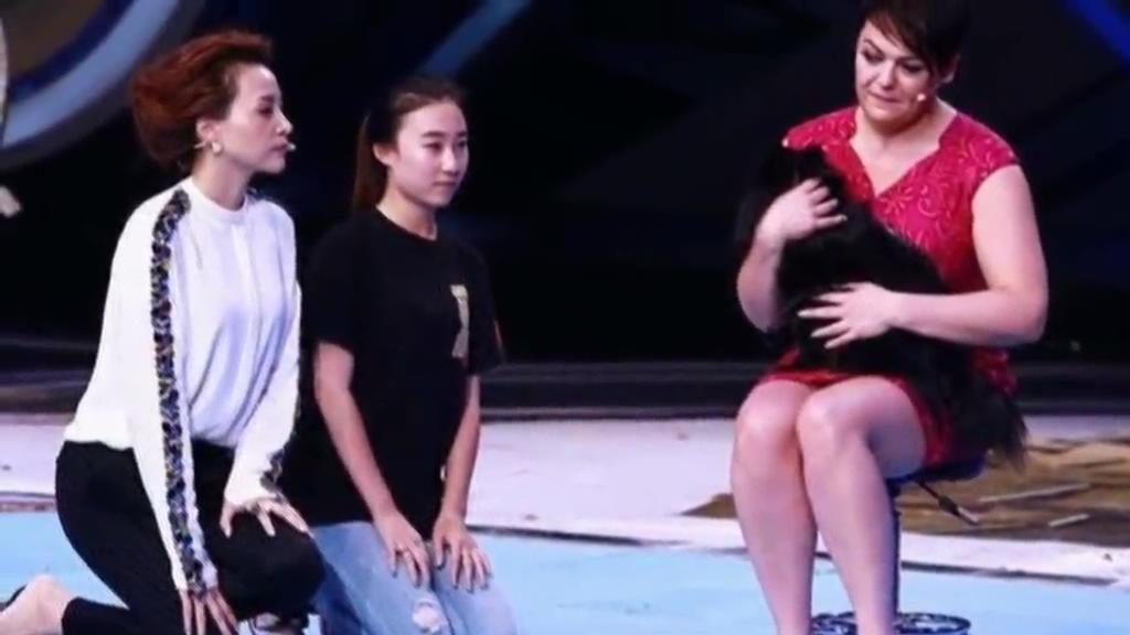 又當托？ 董卿節(jié)目現(xiàn)場當眾對狗下跪稱被催眠