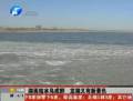 湖面結(jié)冰鳥(niǎo)成群 龍湖又有新景色