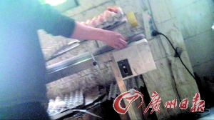 工作人員正在為“土雞蛋”噴日期碼。