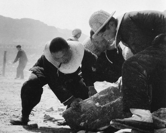 抬石頭，多少人手上都磨出了老繭