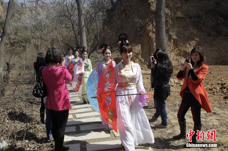 河南鄭州櫻桃花開 仙子踏春賞花海 河南鄭州櫻桃花開 仙子踏春賞花海