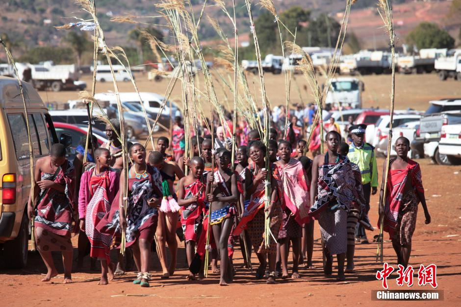 斯威士蘭蘆葦節(jié)開(kāi)選秀女 十萬(wàn)“甄嬛”苦盼國(guó)王垂青 斯威士蘭蘆葦節(jié)開(kāi)選秀女 十萬(wàn)“甄嬛”苦盼國(guó)王垂青